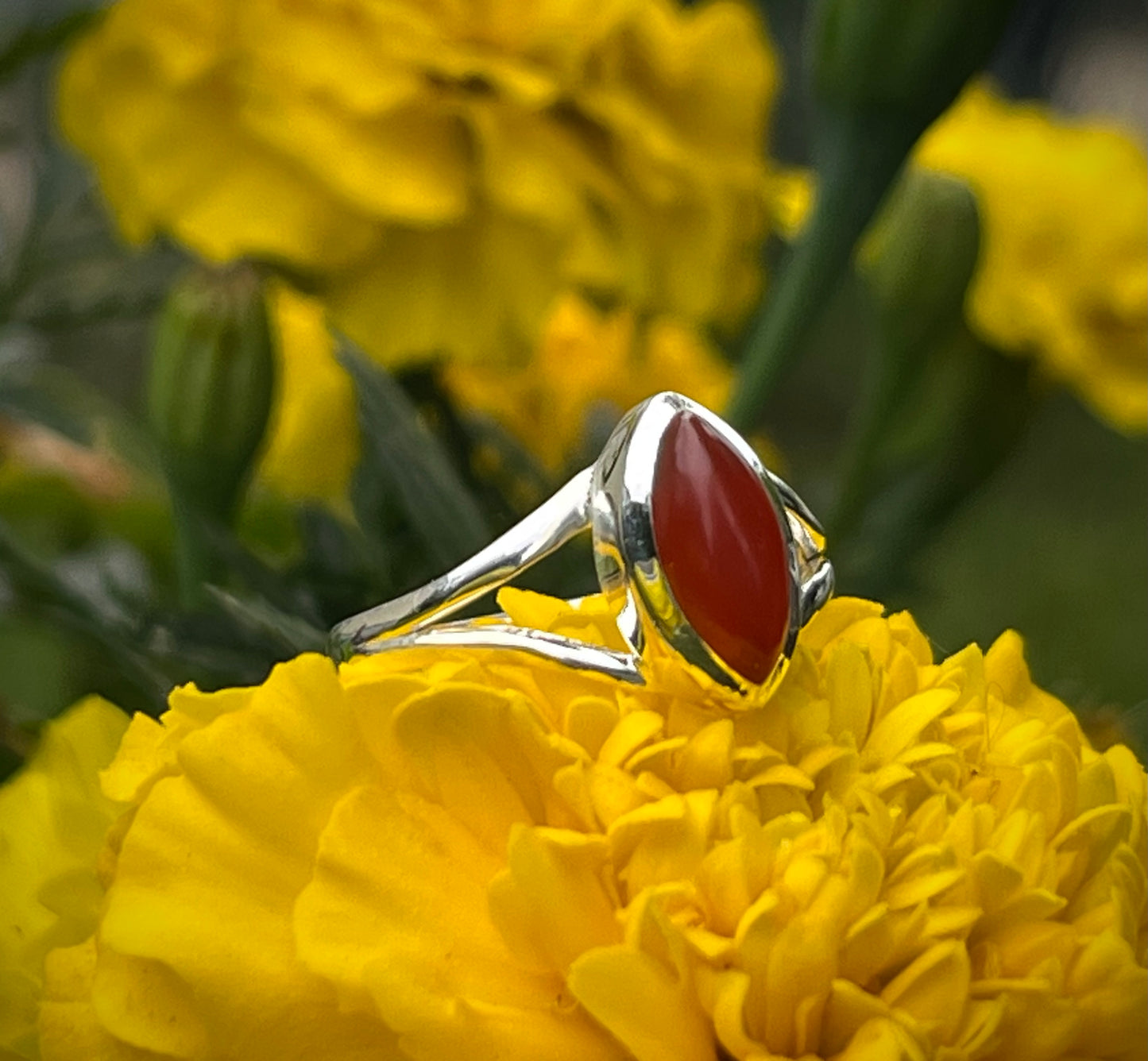 Carnelian Sterling Silver Ring- Sz 6