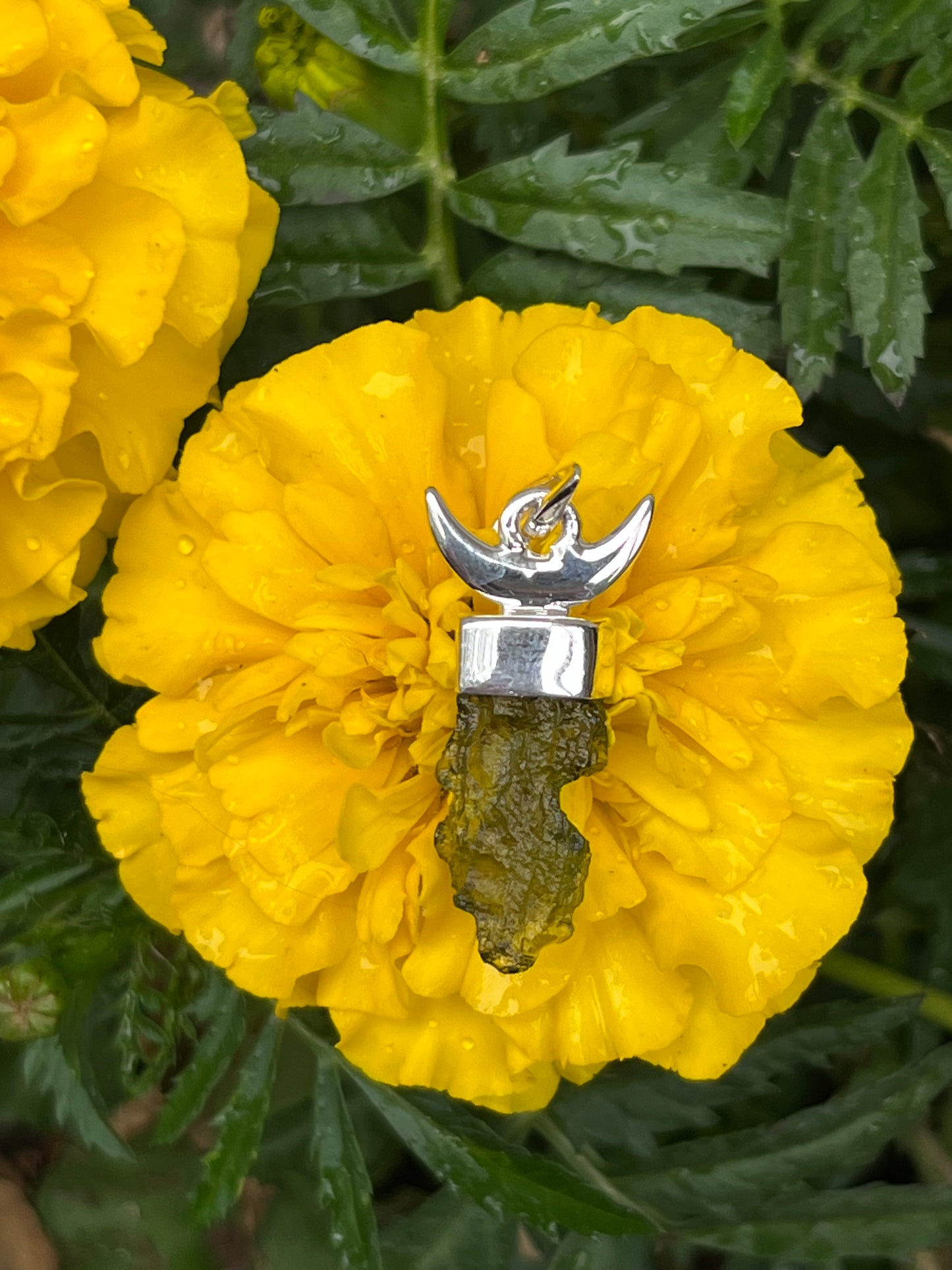 Moldavite Crescent Moon Pendant #2