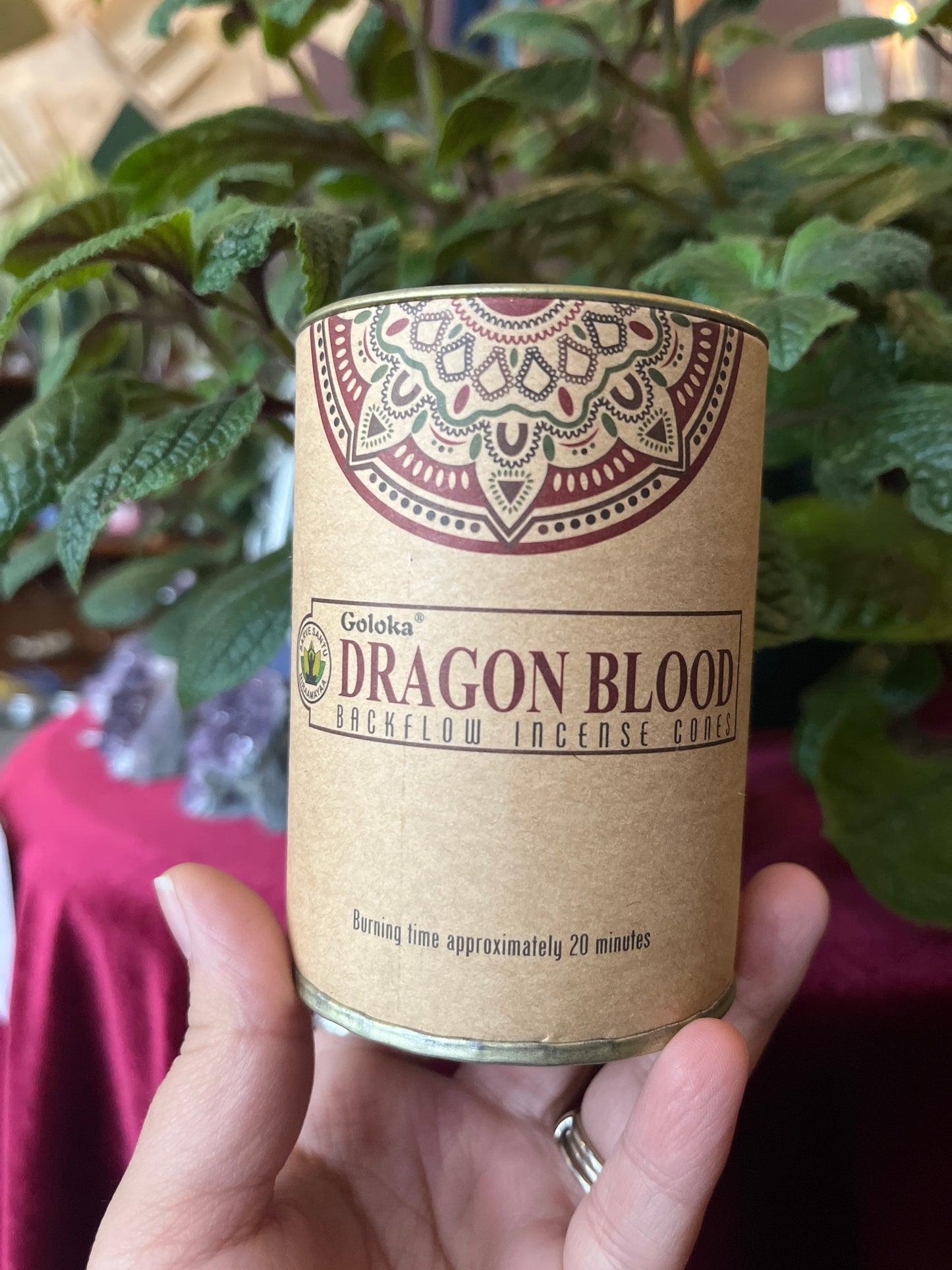 Dragons Blood BackFlow Cones