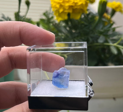 Blue Halite #1