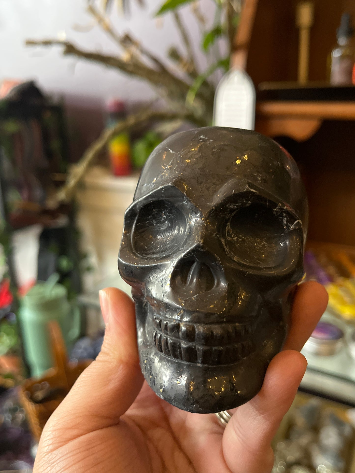 Shungite Crystal Skulls