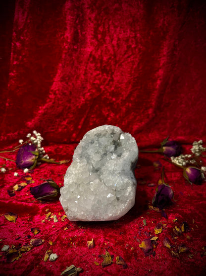 Druzy Apophyllite