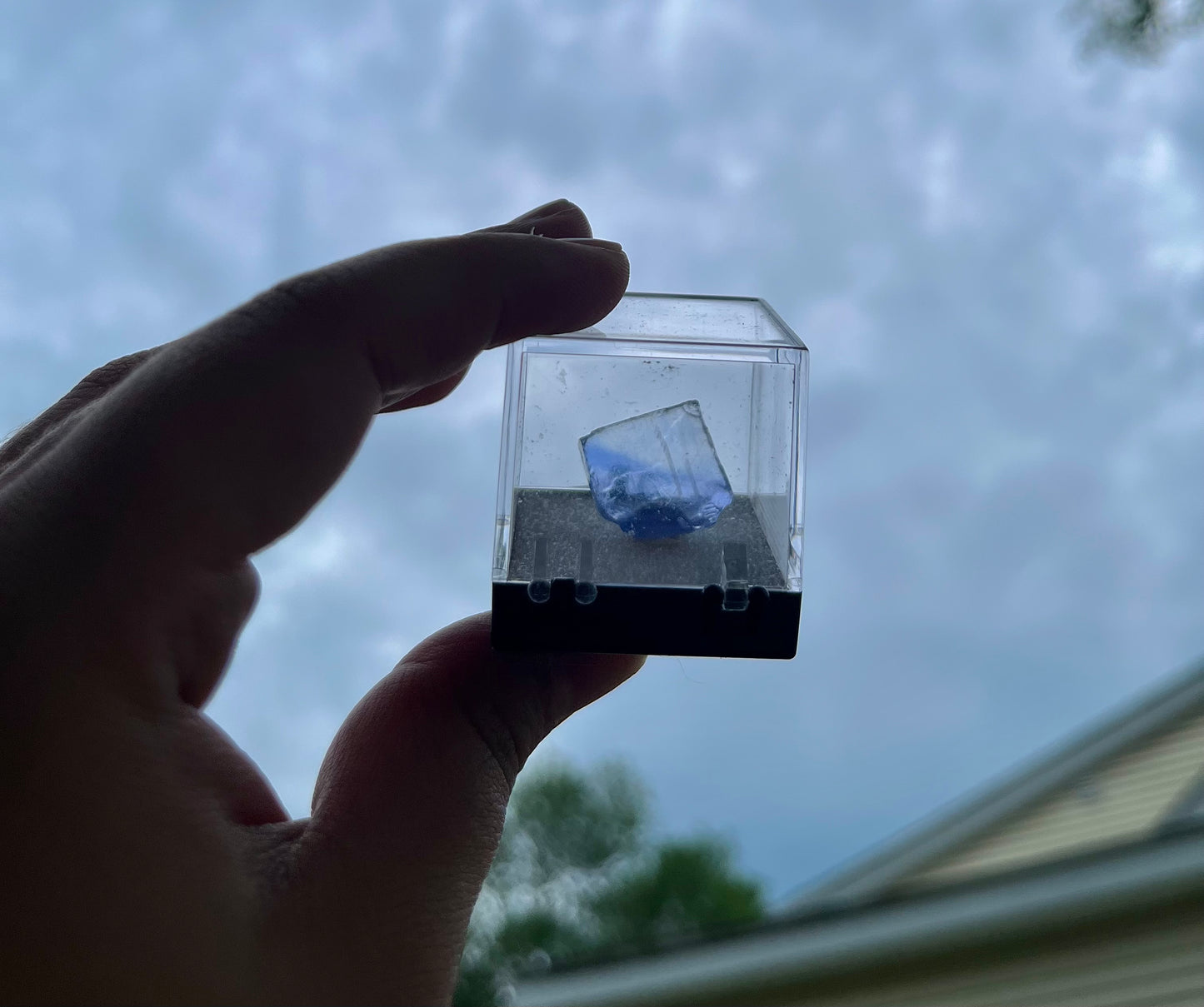 Blue Halite #3