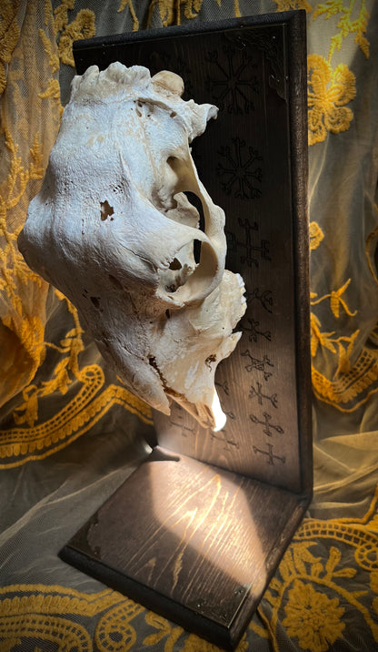 Sheep Oddity Altar with Nine Helms ✨ DISCOUNTED!