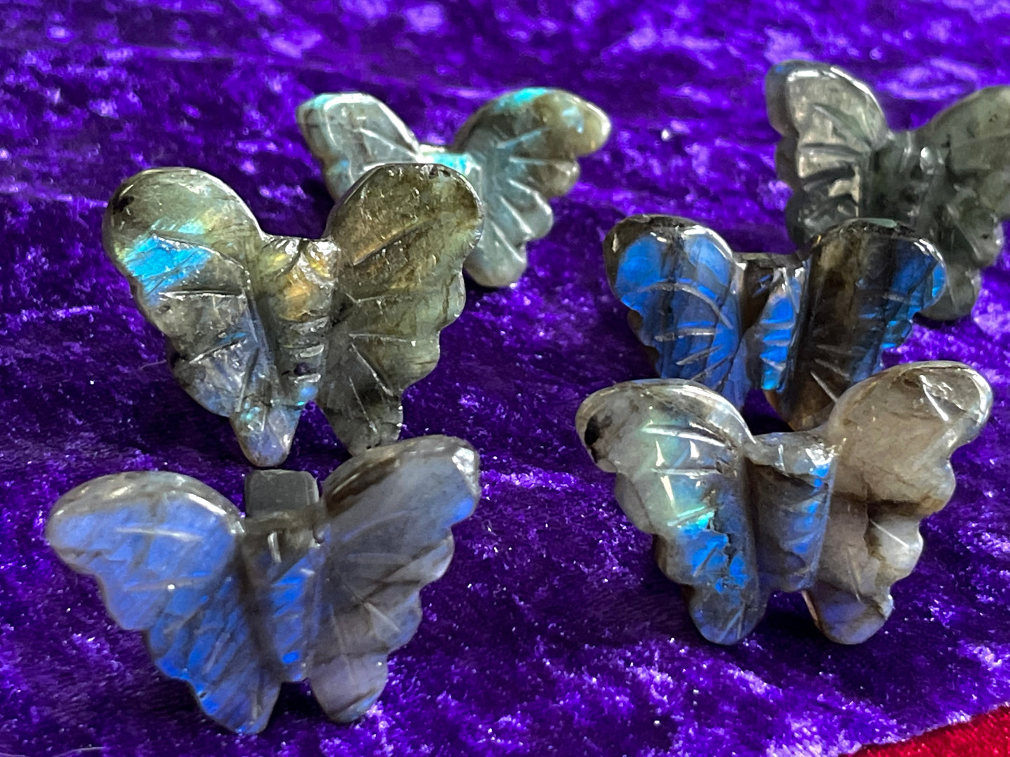 Labradorite Butterfly Car Vent Clips