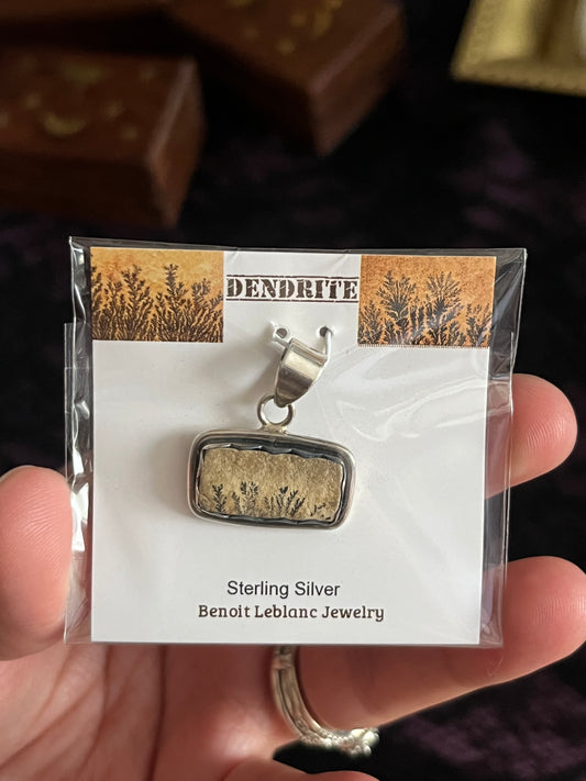 Assorted Rectangular Psilomelane Dendrite Pendants