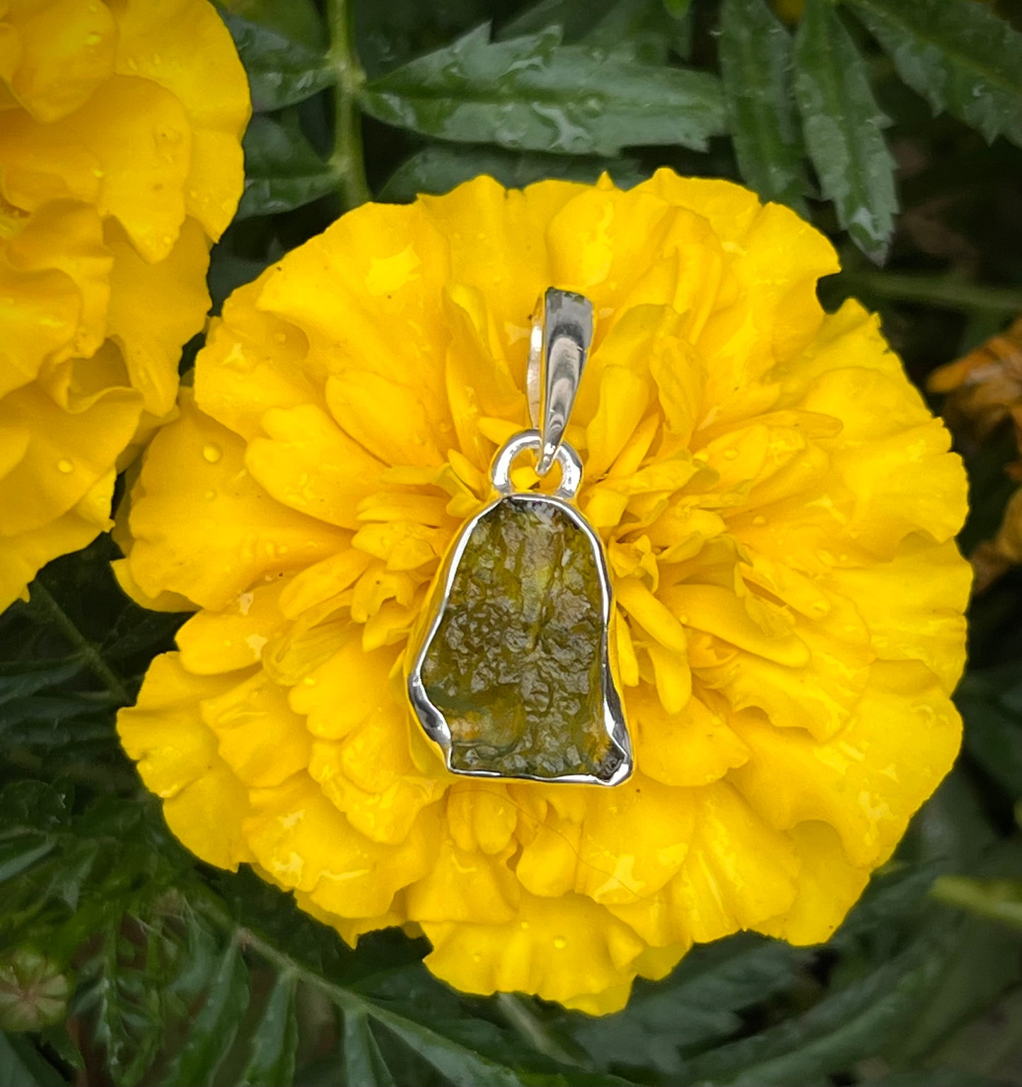 Moldavite Freeform Sterling Silver Pendant #1