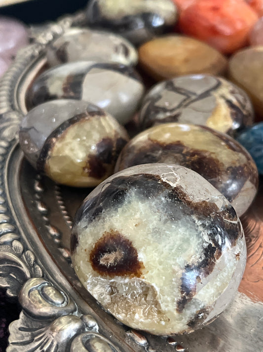 Septerian Palmstones