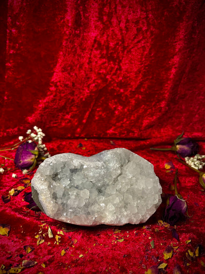 Druzy Apophyllite