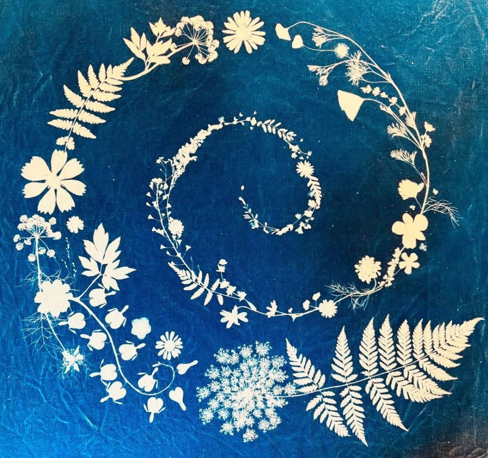 Sunprint Kit