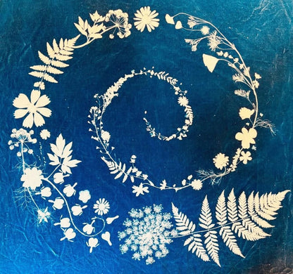 Sunprint Kit