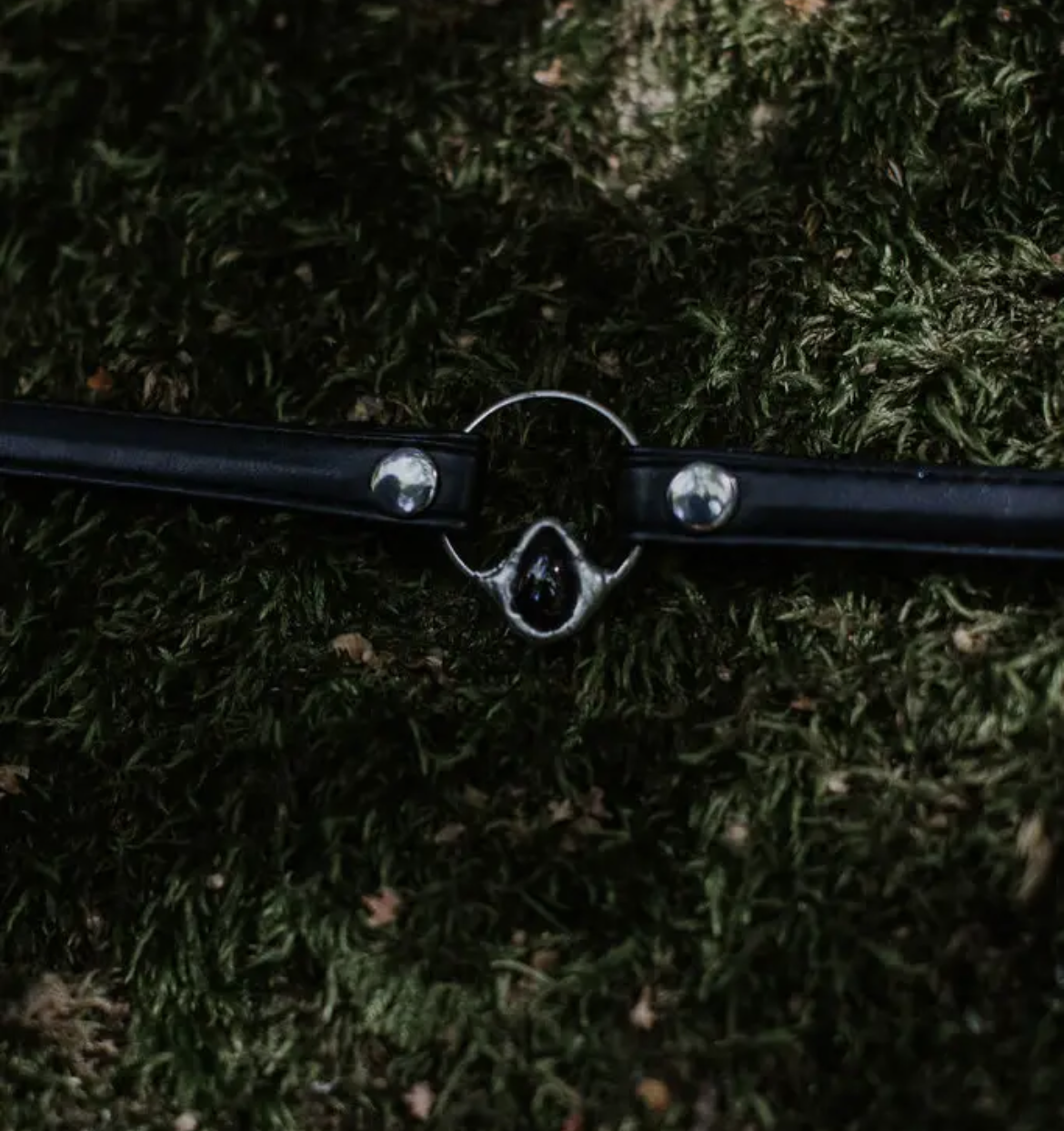 Garnet Leather Choker
