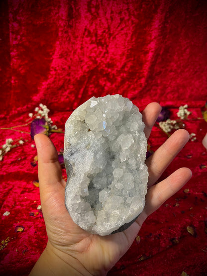 Druzy Apophyllite